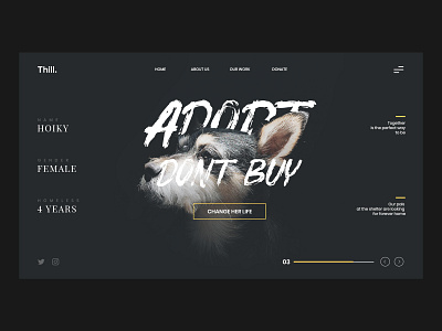 Pet Adopt Landing Page adopt animal dark design flat interaction landing lowprofile page pet pro typography ui ux web