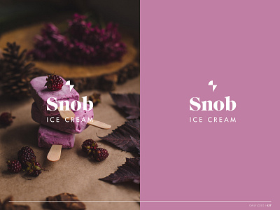 Daily Logo Day 27 brand branding branding identity daily daily challenge daily logo dailylogochallenge design ice cream ice cream logo icon identity design logo logo design popsicle purple typography vector