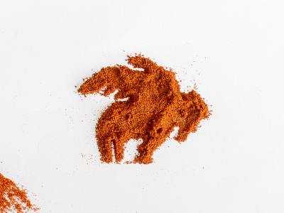 Spiced logo branding buffalo wings design food photography photoshop wings