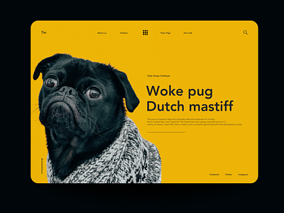 Woke Pug daily 100 daily 100 challenge daily challange dailyui design landing page ui ui ux ux