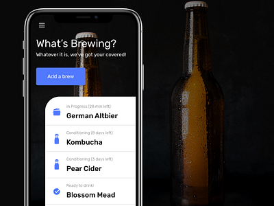 Brewing Companion App beer ui ux