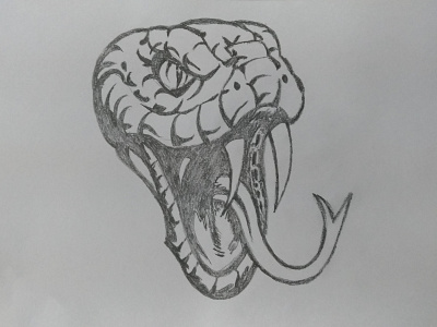 Snake Head Art angry art art board cute danger design drawing hand crafted hand drawing head head shot pencil pencil art pencil drawing sketch sketch drawing snake snake eye snakes teeth