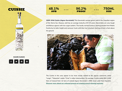 Wordpress Liquor Product Page liquor mezcal product page textures website wordpress theme