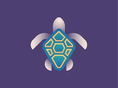 Turtle animal icon illustration turtle