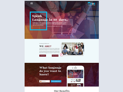 Language Consultancy website. company website homepage language consultancy website