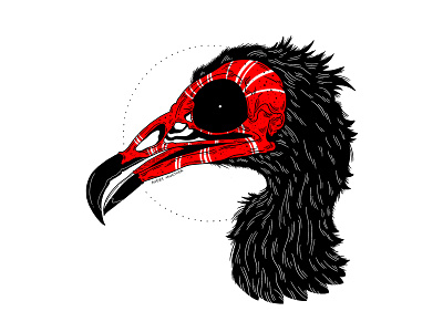 Vulture. bird bird illustration blackwork death illustration ipad procreate skull spooky tattoo vulture