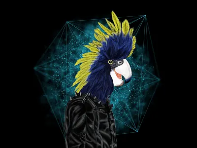 Punk Cacatua animal bird cacatua concept concept art illustration illustrator misic art music photoshop punk rock rock and roll theriomorph
