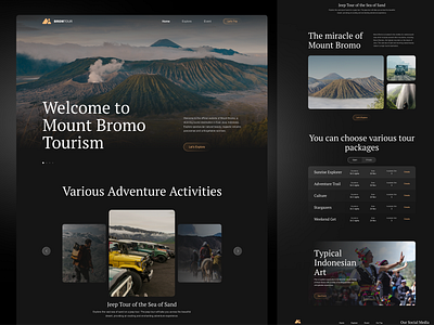 Bromtour Travel adventure booking branding bromo dark destination holiday illustration image landing page mountain ticket tourism travel trip