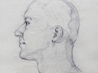 Andre anatomy figure drawing life drawing