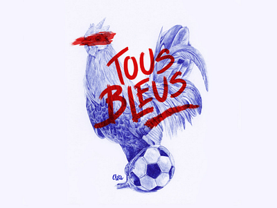 Tous bleus! drawing illustration typography