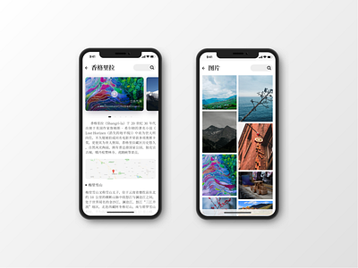 Travel Information App app design interface ui ux web