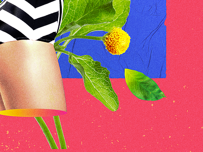 Jamburana Poster #3 Details art brasil brazil collage collage art collageart design jambu para poster poster art