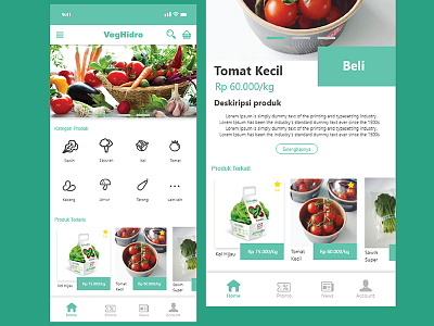 Application for hydroponic vegetables branding character design homepage illustration illustrator interface ui ui design ui designer ui web design uidesign uiux user interfaces userinterface ux ux designer