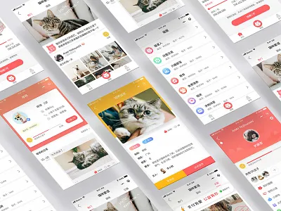 app app ui
