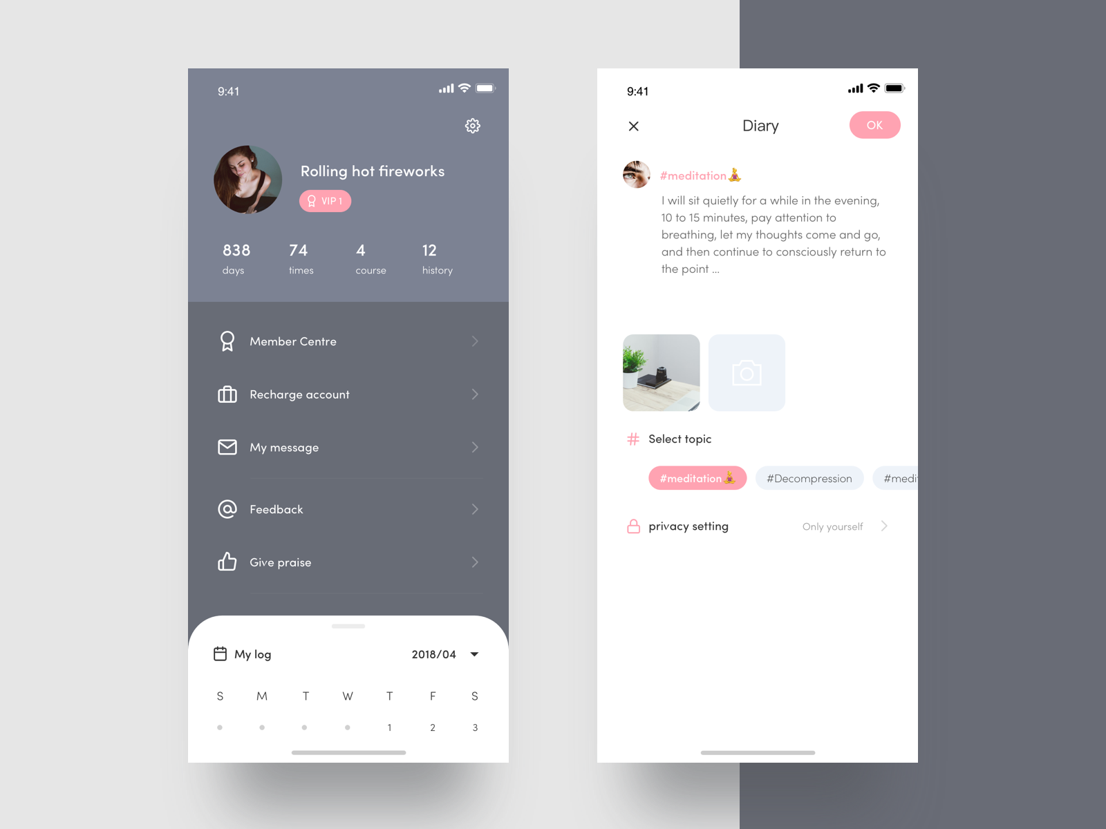 Example of Meditation Diary