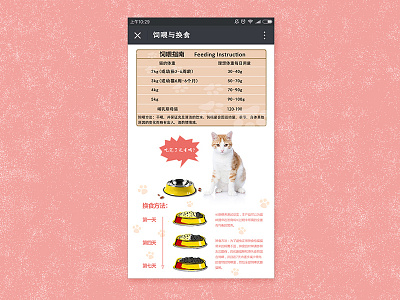 Pet Feeding
