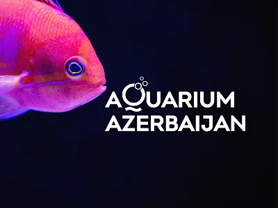Aquarium Azerbaijan Logo aquarium design fish graphicdesign illustration logo logo animal logoaquarium logodesign logodesigner logotype