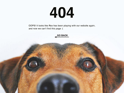 404 page 404 page black blue bright brown dailyui008 design dog error figma orange puppy ui ui ux ux