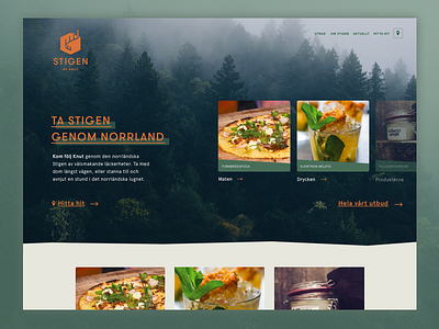 Web Concept landingpage ui webdesign