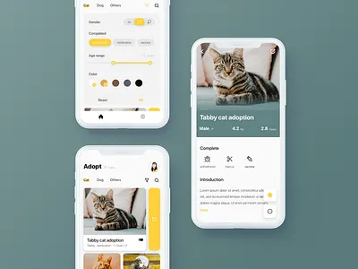 Adopt Pets · Redesign cat ui