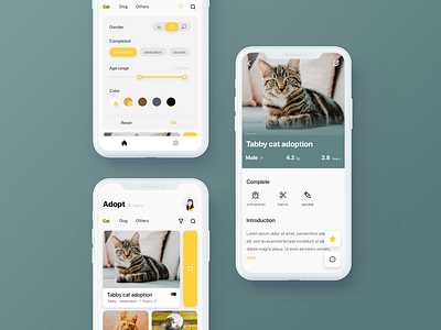 Adopt Pets · Redesign cat ui