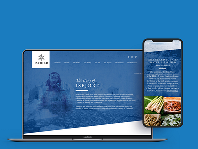 Website for Spirit Producer acohol blue branding danemark design flat flat ui ice logo material design material ui mobile first photo photo album responcive stylish typography ui web web design