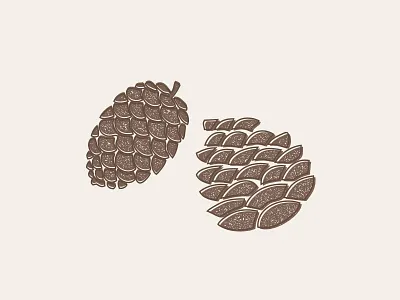 Pine Cones letterpress logo minimal nature offset outlines pine pine cones texture trees