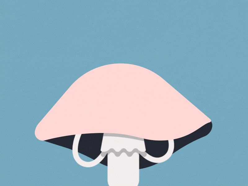 Mushroom Creature 1 2d 2d animation 2d character after effects animation bug cartoon character character animation cute gif illustration illustrator motion design mushroom rubberhose2 shadow shroom texture vector