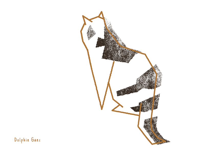 Example of Focused • Day002 • 365 Days of Motion