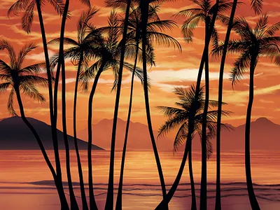 Scarface inspired tropical wallpaper 80s cloudy design illustration loop mountains palms photorealistic photoshop remake scarface sea shore sunset tropical vector vintage wallpaper