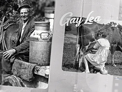 Gay Lea | Style Frame 01 grain history kodak old photocopy polaroid projector reflection texture vintage