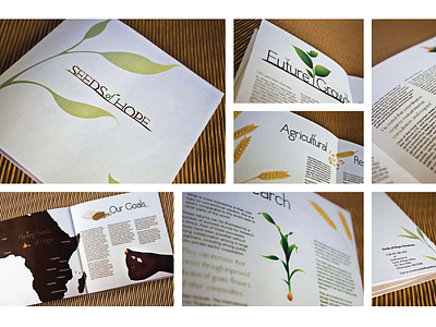 Portfolio: Student Pamphlet Project agriculture illustration print design simplistic vector