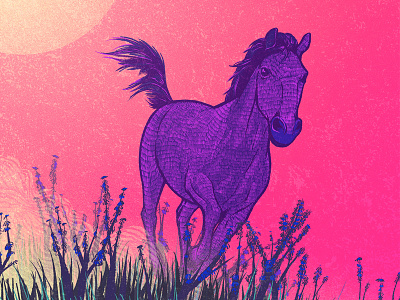 Wild horses animals horse illustration photoshop running