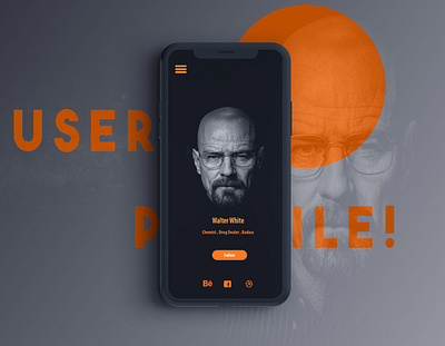 User Profile-Revamp daily dailyui dribbble firstshot userprofile walterwhite