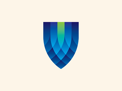 Shield design icon logo vector