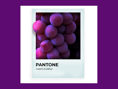 fav color grape grapes pantone photo purple