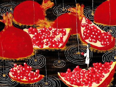 pomegranate illustration