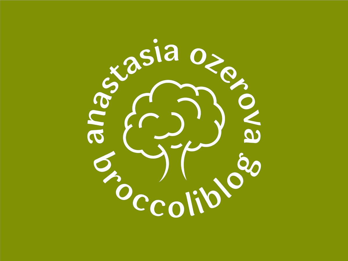 Example of Basic Package: Logo + Guidelines