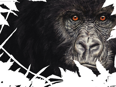 Gorilla Coverillustration animal illustration cover art cover artwork cover book gorilla illustration