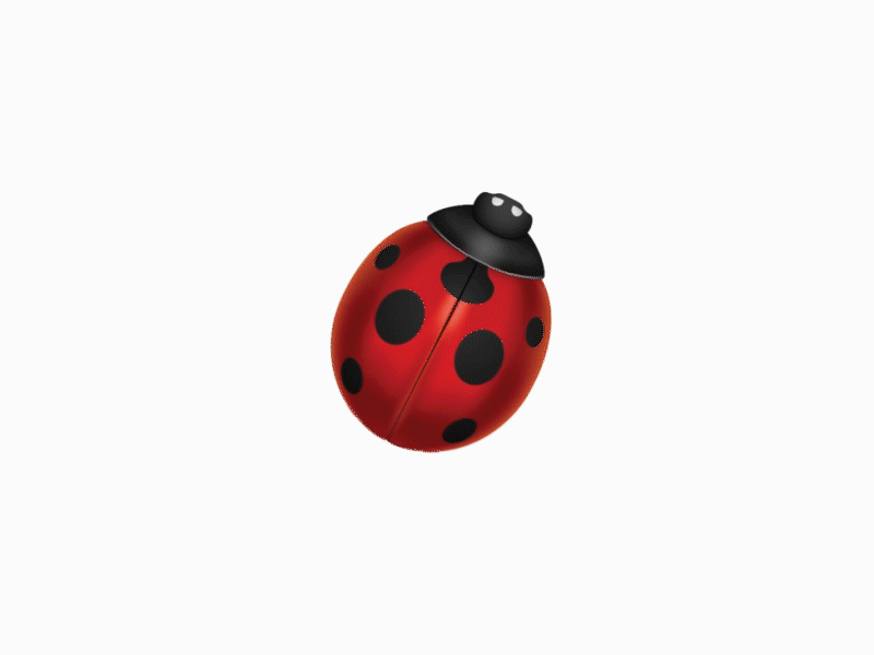 Lady bird beetle clapping :D anim animacion animation art az azerbaijan beetle center colors dark design flame flying gif illustration ladybird red red and black sneeze
