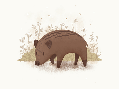 Boar 2d art boar cartoon character charachter design children book illustration cute art doodle art illustration