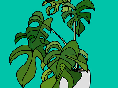 House Plants hand draw house plants illustration leaf leaves plants