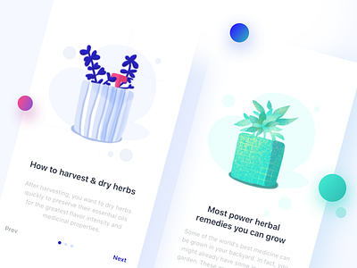 Herb illustration app app blue green herb herbal icon illustration iphonex mobile next prev ui ux