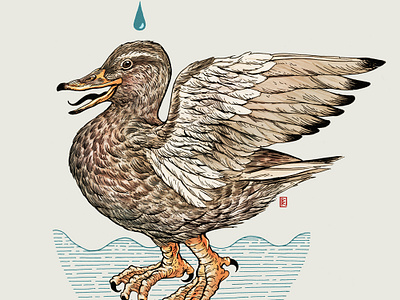 Heraldic Duck animal illustration bird bird illustration drawing heraldic illustration water