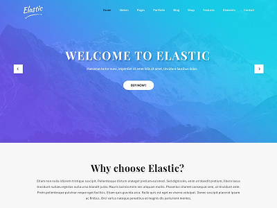 buy readymade custom WordPress theme branding design web web design website wordpress wordpress blog wordpress development wordpress templates wordpress theme