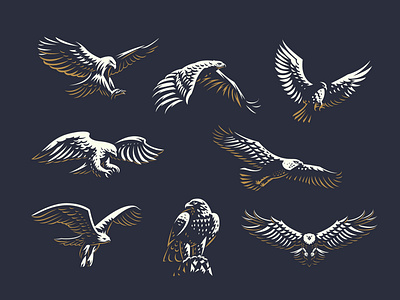 Vectorstock 21484979 bird bird icon bird logo branding design eagle eagle logo feather flight flight app flying hawk illustration logo mono line vector vectorstock wings