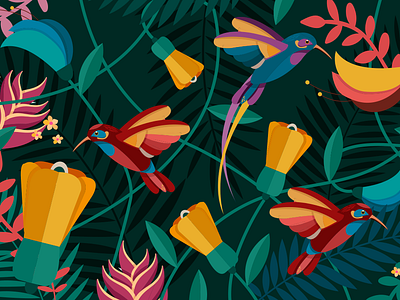 Hummingbird bird botanical flowers hummingbird illustration leaves tropics