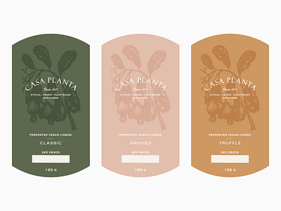 Casa Planta botanical illustration brand identity branding cashew cheese cpg fmcg food branding food packaging food packaging design health food packaging illustration labels packaging vegan vegan branding vegan cheese branding vegan packaging design vintage vintage illustration