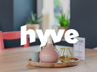 Hyve Branding branding cd ci corporate design logo
