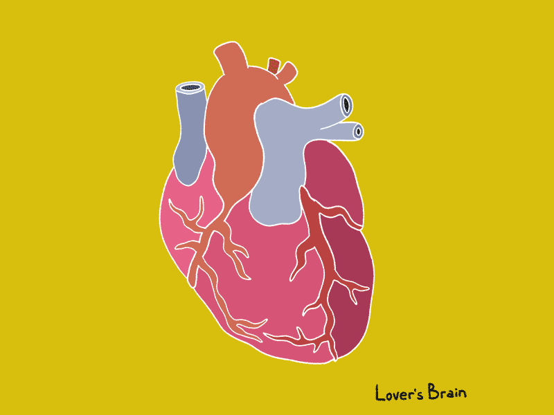 12framesaday Loversbrain 12framesaday 2d 2danimation animation animation2d framebyframe handdrawn